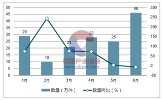 2018-2024年中國裘皮服裝行業(yè)全景調(diào)研及產(chǎn)業(yè)競爭格局報告